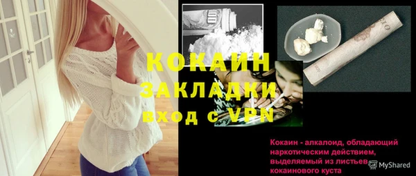 гашик Бородино