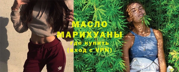 гашик Бородино