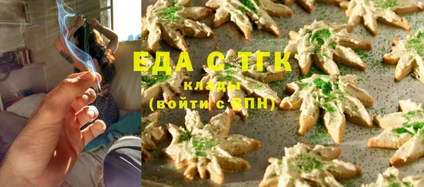 гашик Бородино