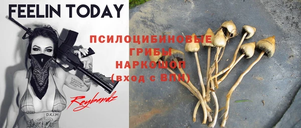 гашик Бородино